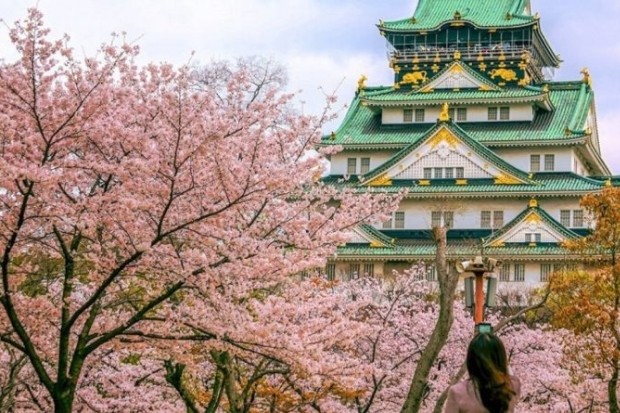ĐÓN NĂM MỚI TẠI XỨ SỞ HOA ANH ĐÀO