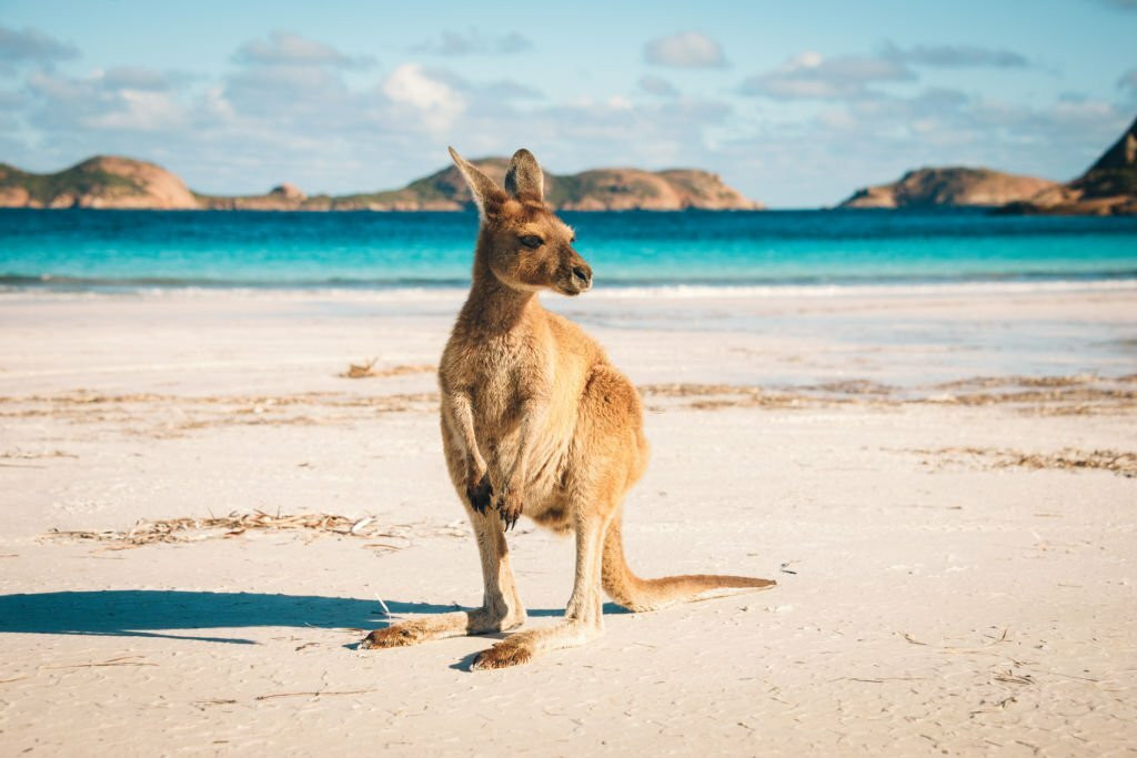 Kangaroo Island, Australia
