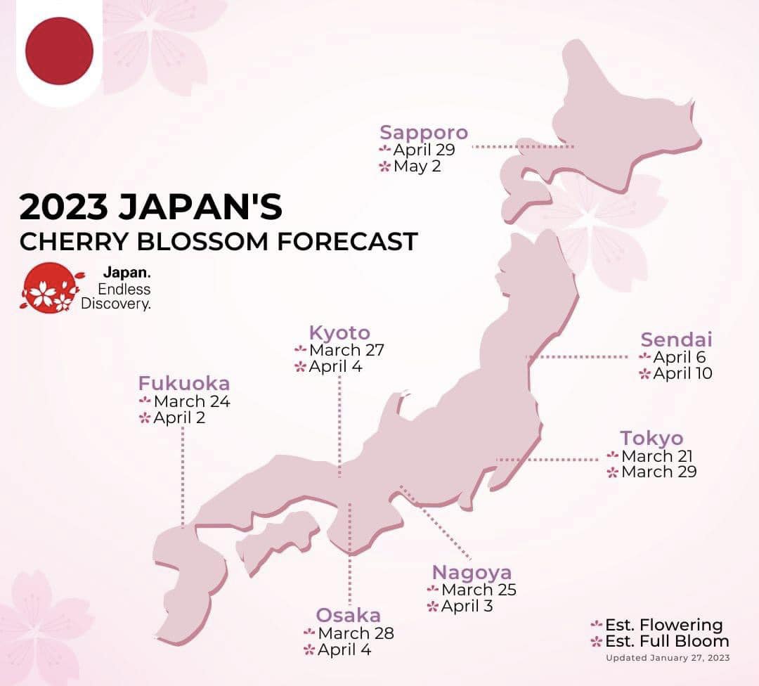 Lịch dự báo hoa anh đào Nhật Bản 2023
