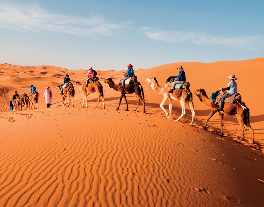 Cưỡi lạc đà vào trung tâm Sahara – hấp dẫn đấy nhưng hãy chuẩn bị đôi chân bạn sẽ mỏi nhừ sau đó.