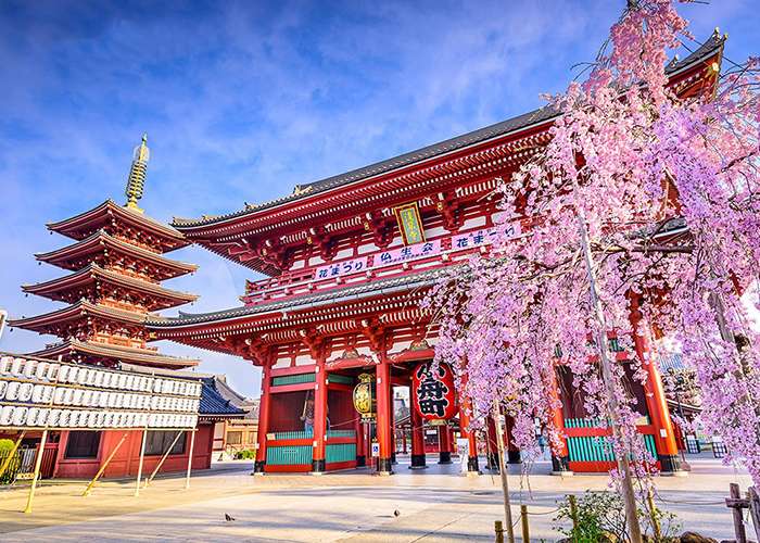 Ngôi đền cổ Asakusa Kannon
