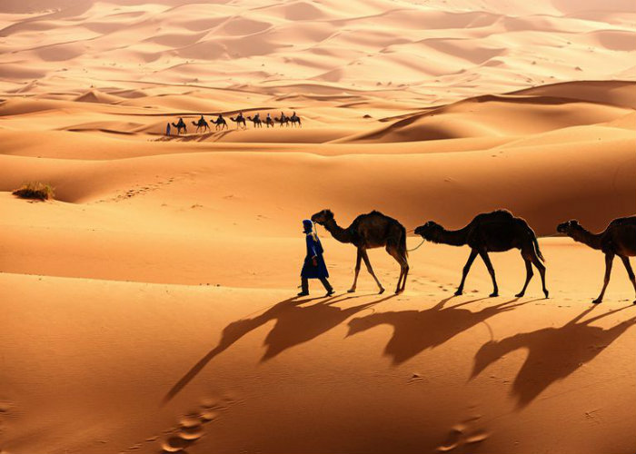 Trải nghiệm thú vị ở sa mạc nóng nhất thế giới