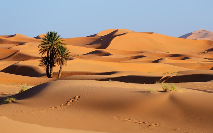 Vẻ đẹp Sahara
