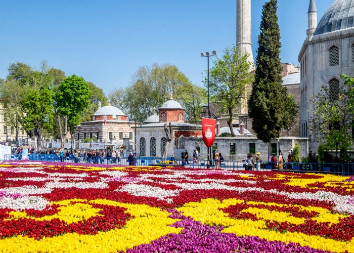 Hoa Tulip khoe sắc tại Istanbul