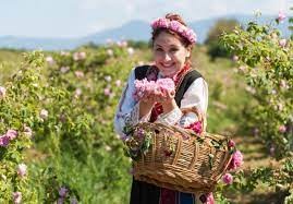 TOUR BALKAN  Ý – SLOVENIA – CROATIA – BOSNIA - HERZEGOVINA – SERBIA - BULGARIA 12N11Đ ( Khám phá Lễ hội Hoa hồng đặc sắc tại Bulgaria)