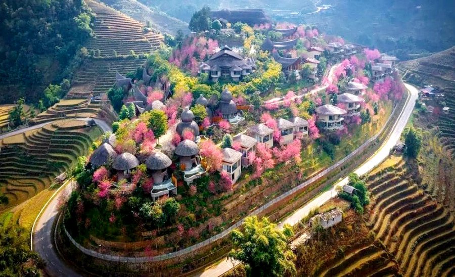 Mù Cang Chải - 3N2Đ #5