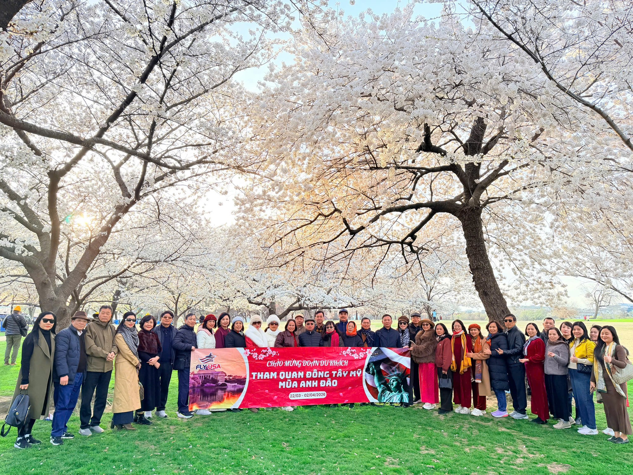 Tour Mỹ Mùa Hoa Anh Đào – Hành Trình Khám Phá Nước Mỹ Lãng Mạn Cùng Vietfoot Travel